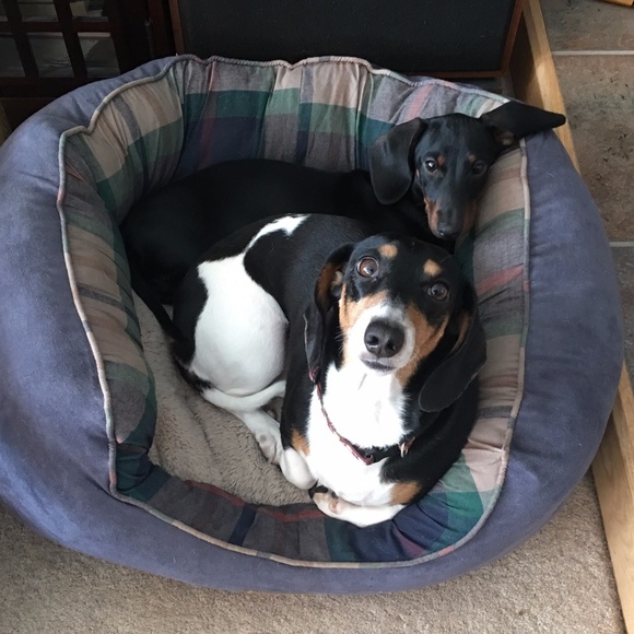 Meet your Posher, Ruth - Picture 6 of 16